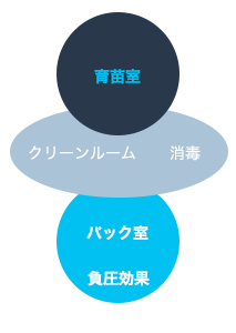 安心・安全・品質の安定に配慮した工場内部